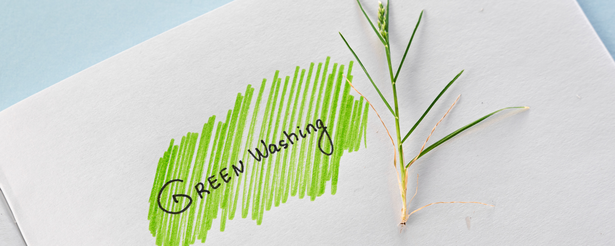 What is greenwashing?