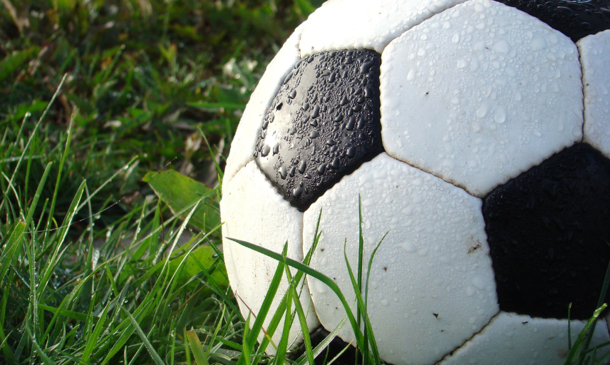 Football laying in grass