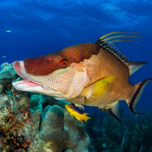 Where To Find Leisure Marine PR Specialist Support