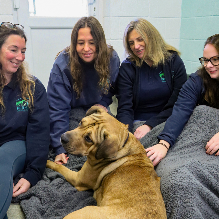 Somerset PR Specialist