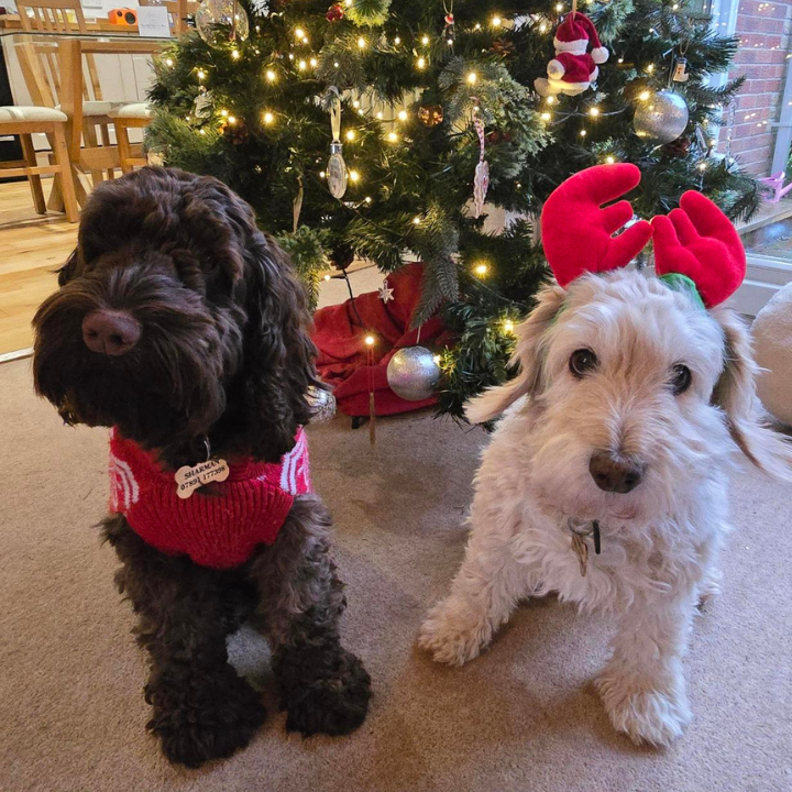 PR Support 2025 Review